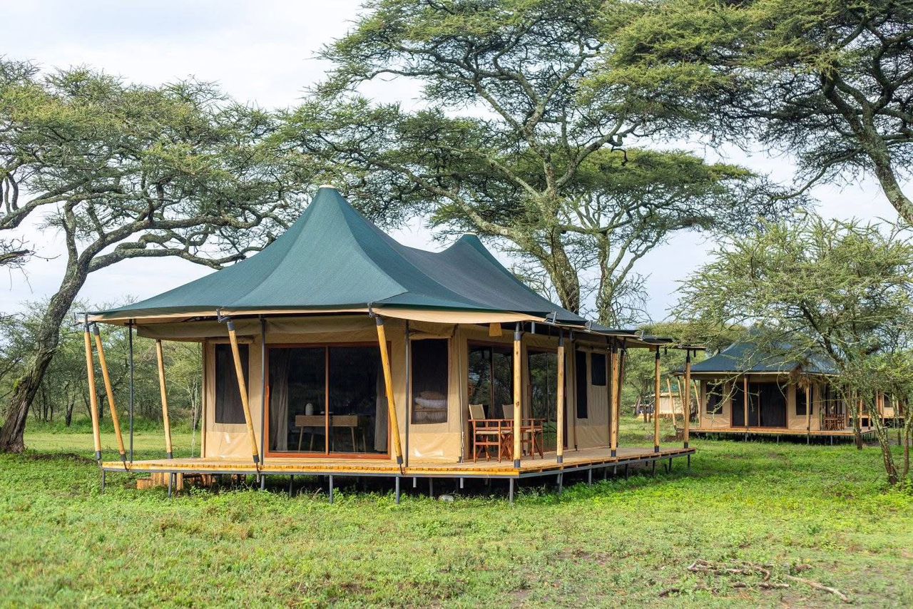 Serengeti